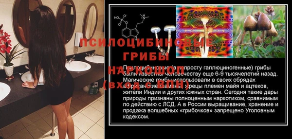 дурь Балахна
